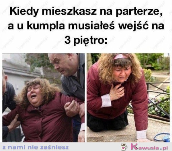 Kiedy mieszkasz na parterze