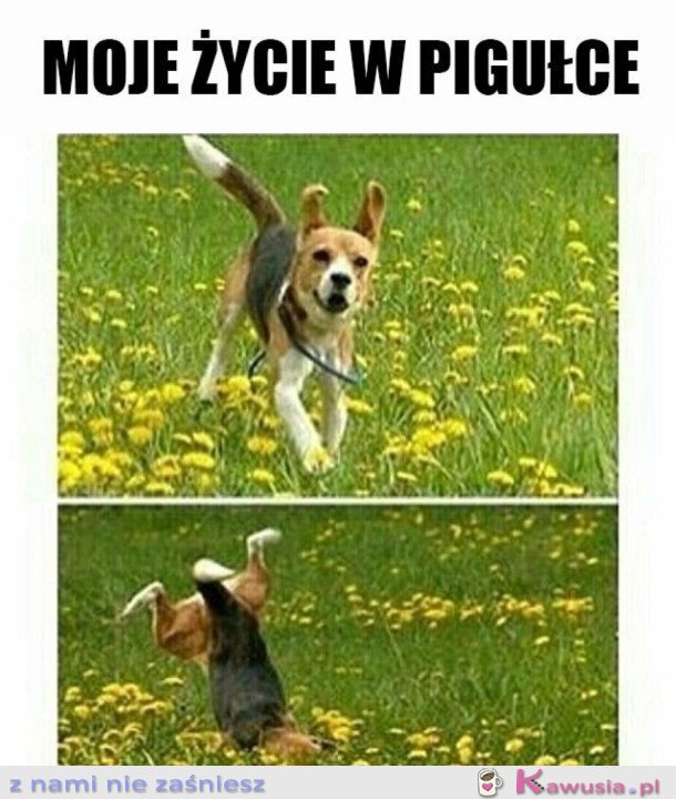 JEST DOBRZE I ZARAZ JEST ŹLE