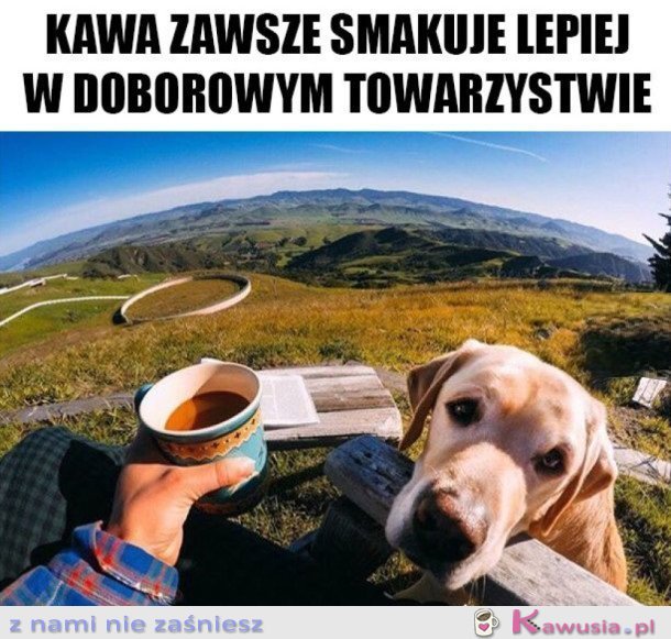 DOBOROWE TOWARZYSTWO