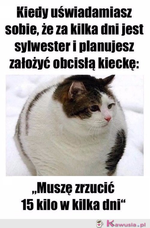 Ponoć chcieć to móc...