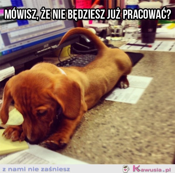 Mówisz, że nie będziesz