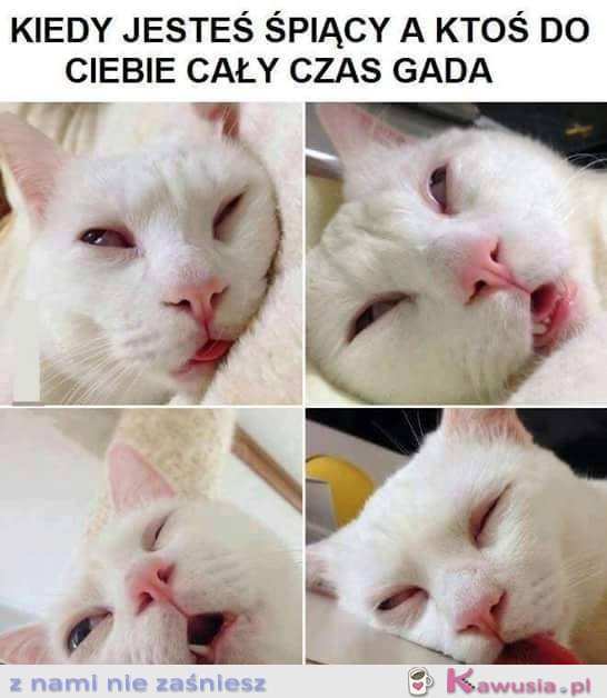 Jejku niech on już skończy