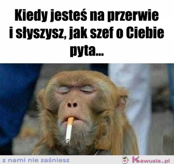 Co znowu...