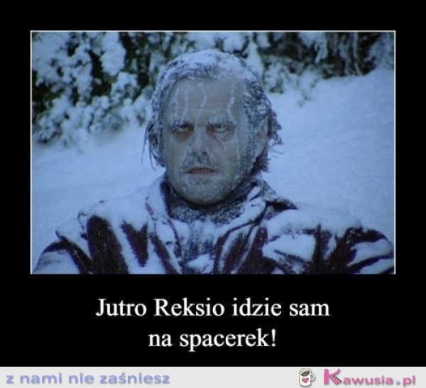 Ojj Reksio jutro idziesz sam