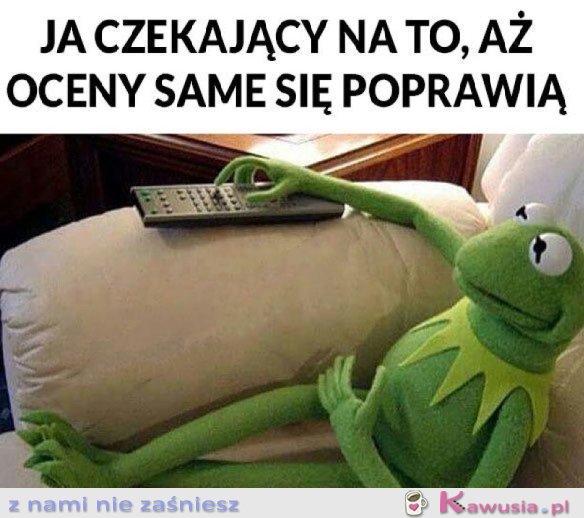 POCZEKAM SOBIE TUTAJ