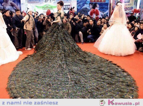 Suknia z pawich oczek