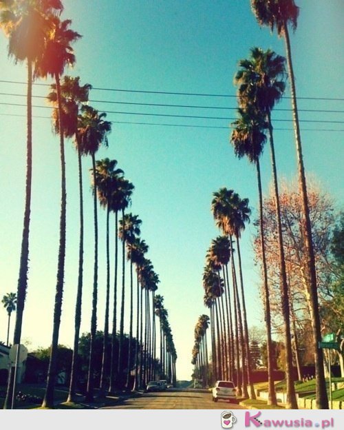 California