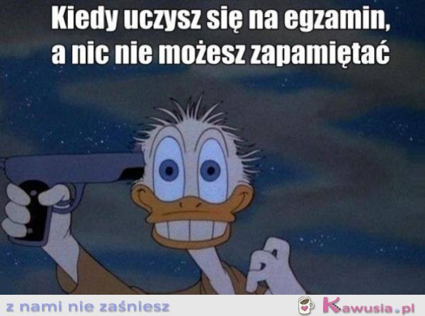 Kiedy uczysz się na egzamin