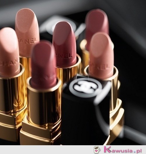 Kt&oacute;rą wybierasz?