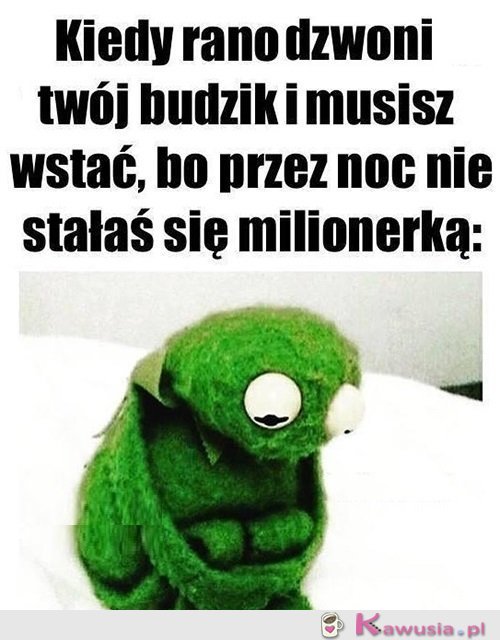 Może jutro...