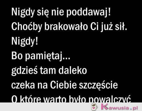Nigdy się nie poddawaj
