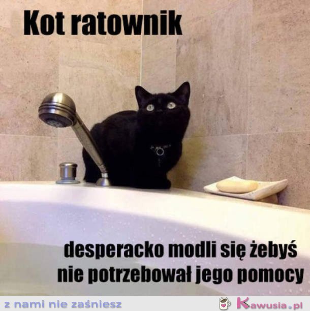 KOT RATOWNIK