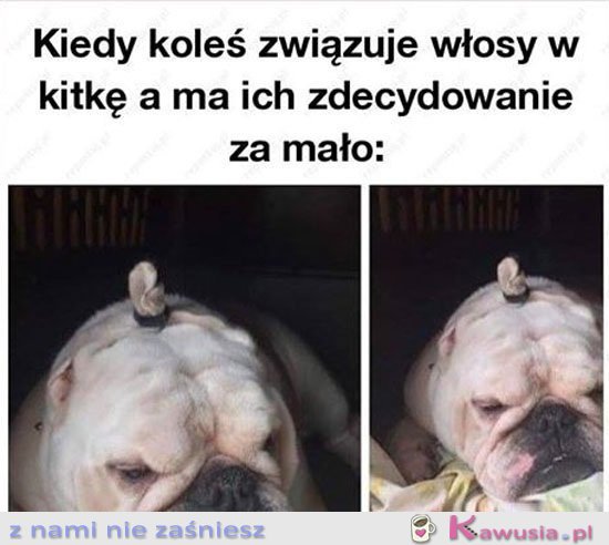 Panowie proszę nie róbcie tego