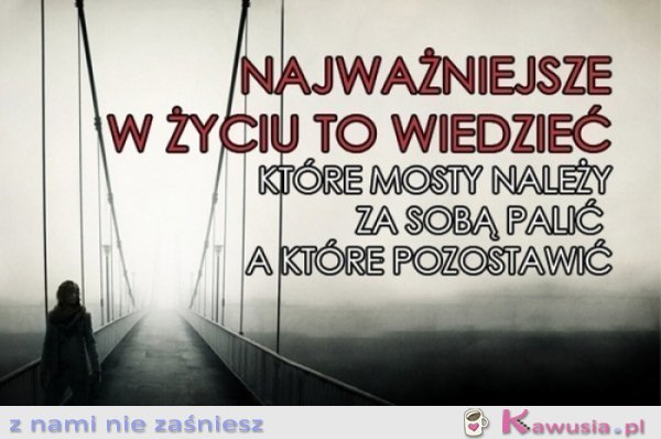 Najważniejsze w życiu to wiedzieć...