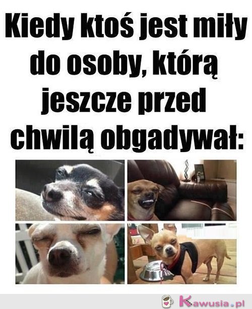 Mhhmmm...