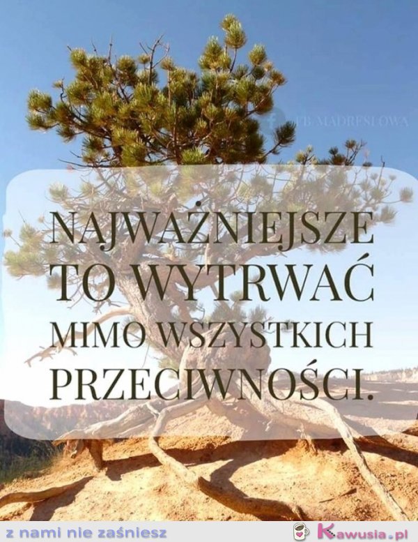 Najważniejsze to wytrwać