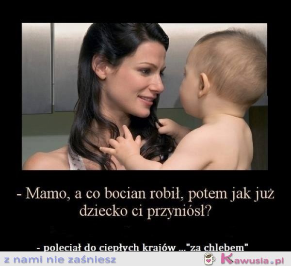 Mamo, a co bocian robił?