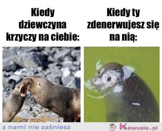 Ale co się stało...