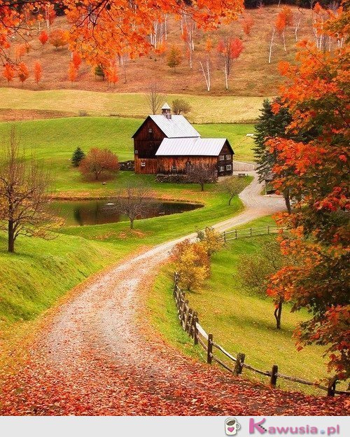 Piękny jesienny krajobraz