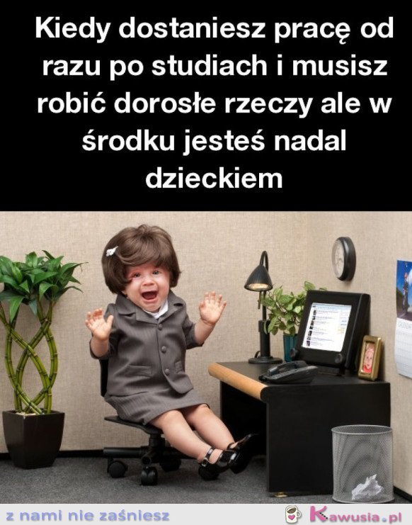 KIEDY DOSTANIESZ PRACĘ OD RAZU PO STUDIACH