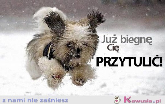 Już biegnę