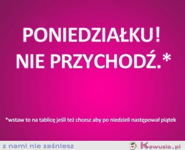 Poniedziałek