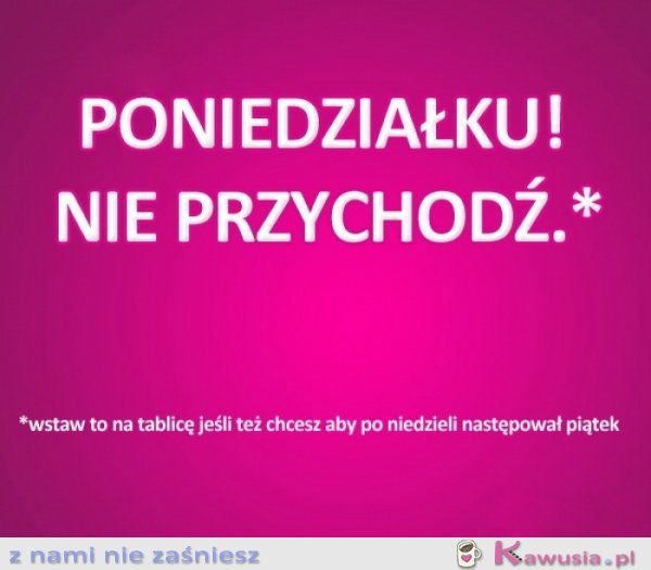 Poniedziałek