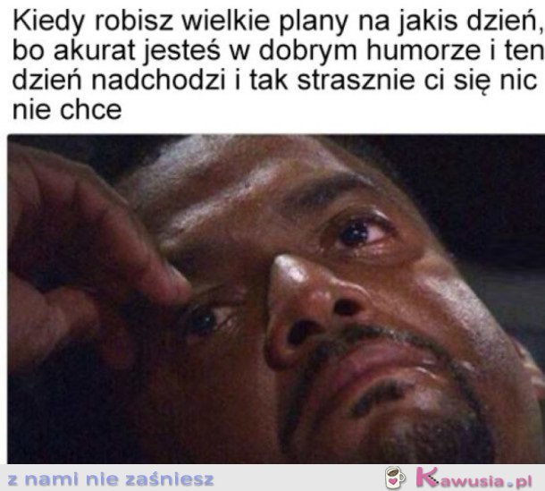 MOJE PLANY SĄ TAKIE ULOTNE