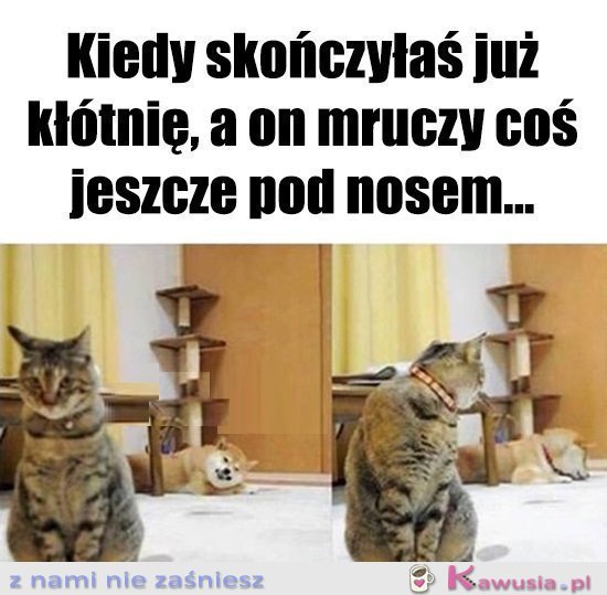 Coś jeszcze chcesz dodać?!