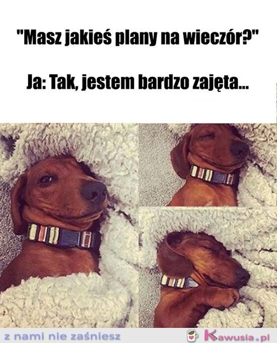 Bardzo..