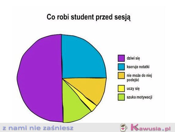 Co robi student przed sesją