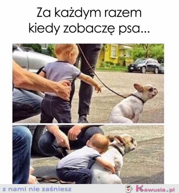 Za każdym razem kiedy zobaczę psa