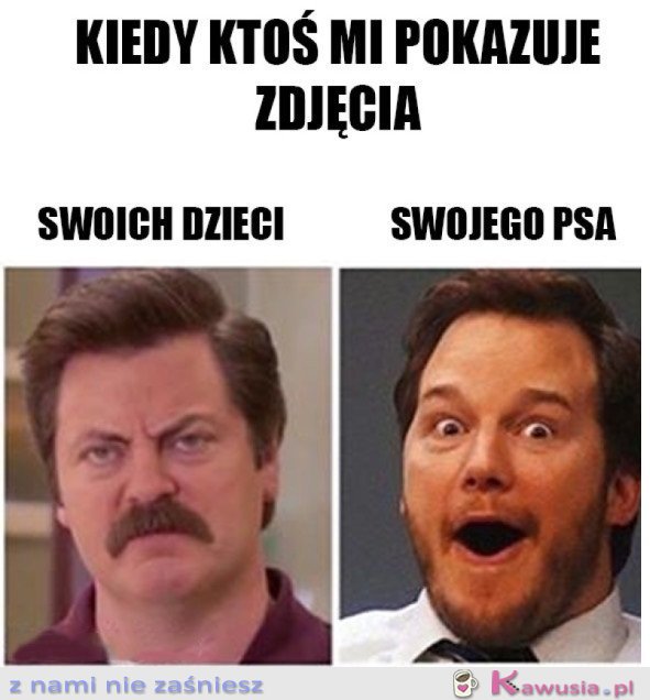 OGLĄDANIE ZDJĘĆ 