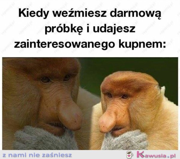 Kiedy weźmiesz darmową próbkę