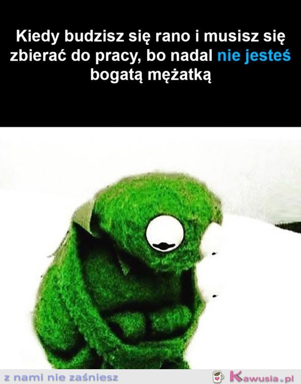 KOLEJNY DZIEŃ