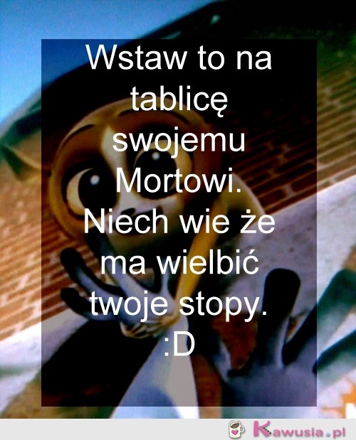 Wielb moje stopy ;)