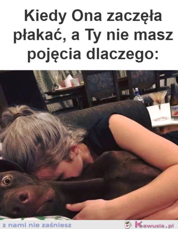 CHYBA SZURNIĘTA
