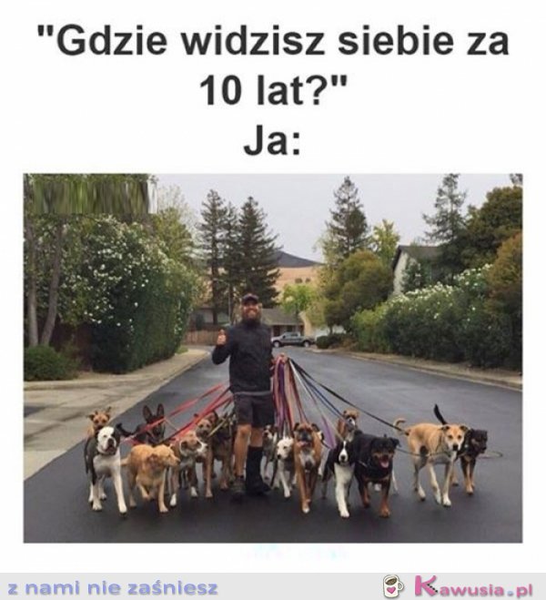 Gdzie widzisz się za 10 lat