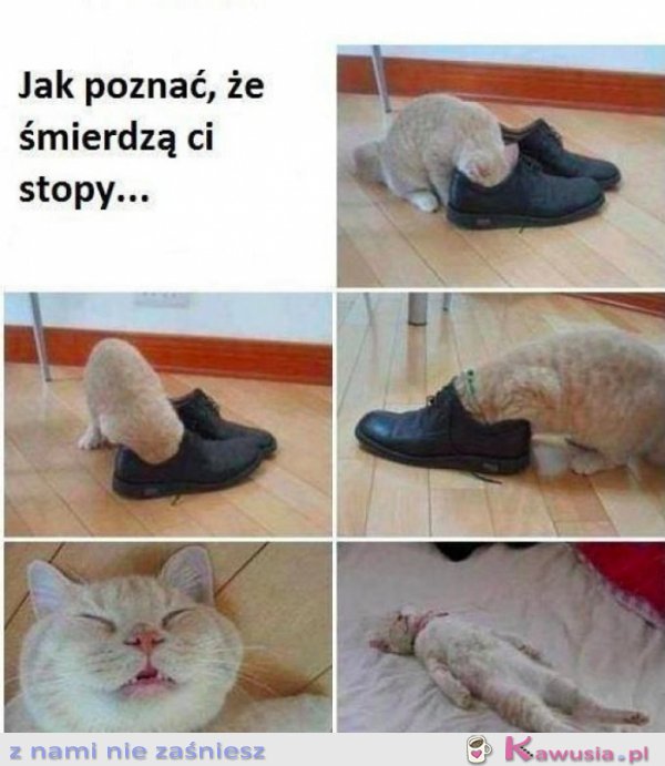 Jak poznać, że śmierdzą ci stopy