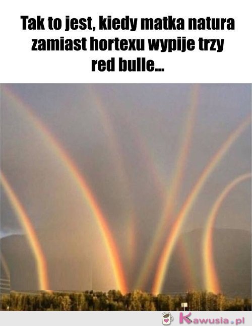 Tak to się kończy..