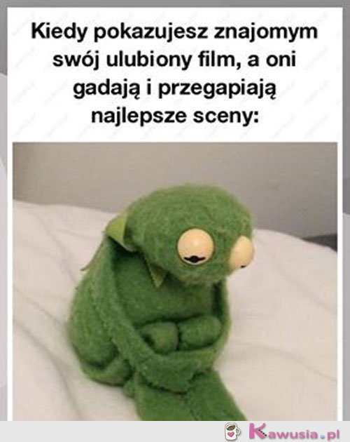 Proszę oglądajcie