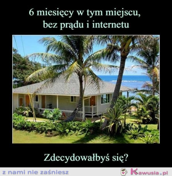 A Ty jaką decyzję podejmujesz?