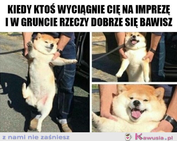 Bawię się cudownie