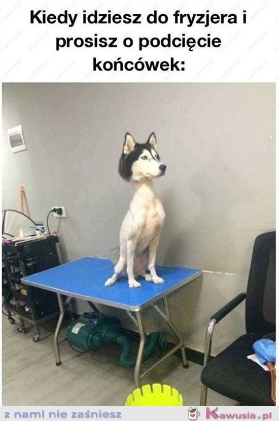 Poproszę tylko końcówki