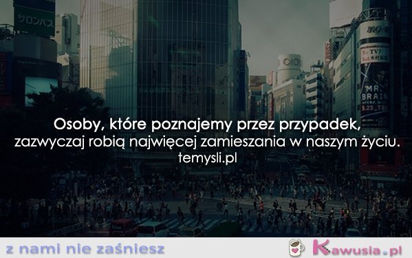 Osoby, które poznajemy przez przypadek...