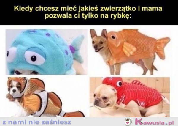 Mama pozwala mi tylko na rybkę