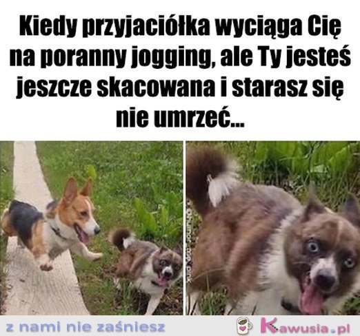 To był błąd...