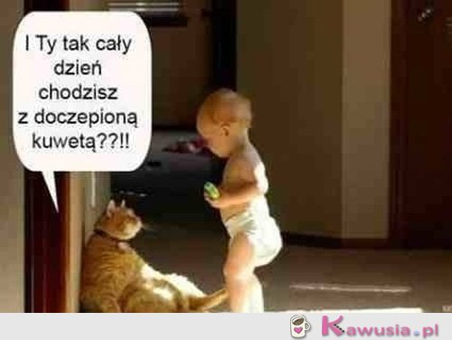 I Ty tak cały dzień chodzisz...