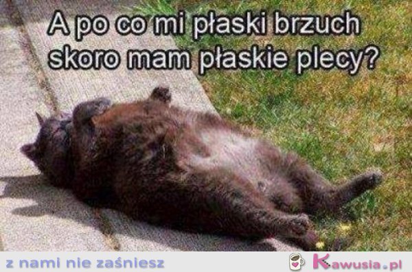 Czy warto się odchudzać?