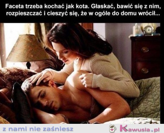 Faceta trzeba traktować jak kota